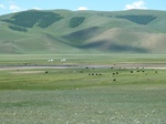 24159P1050591.JPG