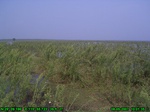 1382R0015140_tag.jpg