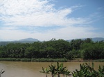 15426IMG_4293.JPG