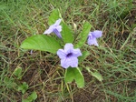 15748IMG_4836.JPG