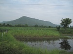 34460IMG_5443.JPG