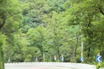 2024-08-05_16-28-20_BEDD66AC-31E9-47A1-867D-B7863045ABFE.jpeg