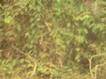 48232CIMG4569.JPG