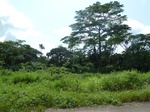 20626P1020483.JPG