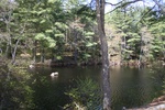 233IMG_4129.JPG