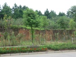 38995CIMG1508.gps.jpg
