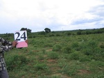 1177524-cropland-chena-1yr-fallow-very-large-fieldb.jpg