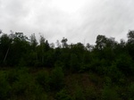 54531SAM_0499.JPG