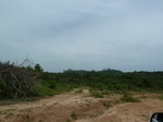 18618P1000455.JPG