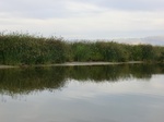38605CIMG0137.JPG