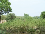 1691402052008(74).JPG