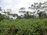 48962CIMG5299.JPG