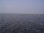 685R0015193.jpg