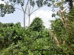 49541CIMG5878.JPG