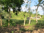 32071IMG_5632.JPG