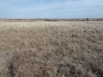 54000P1060027.JPG