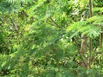 31490CIMG1356.JPG