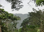 47690CIMG4027.JPG
