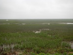 54503DSCN1785.JPG