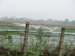 51626CIMG0355.JPG