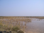 4648RIMG0073-1.JPG