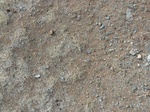 23125P1020640.JPG