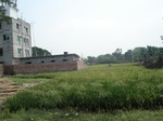 21829DSC08406.JPG
