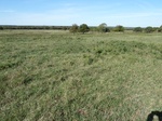 26333P1010445.JPG