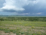 38155P1080080.JPG