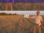 11595066-Fallow farm-winter wheat-b.jpg