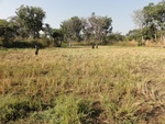 26623DSC00280.JPG