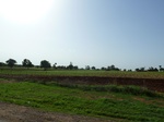 19336P1010182.JPG