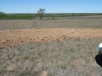 29240ARNE20110505W.JPG