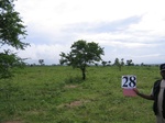 1045628-cropland-rainfed-1yr-fallowb.gif