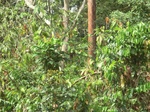 48459CIMG4796.JPG