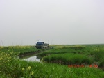 51755CIMG0182.JPG