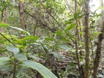 50212DSC02011.JPG