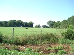 32544p196.jpg