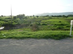 19395P1010242.JPG
