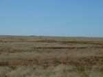 42499P1000298.jpg
