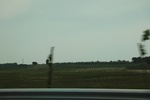 2024-08-05_15-52-11_666E637E-F803-479C-A15A-0079D81AE88D.jpeg