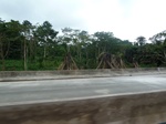 20225P1020080.JPG