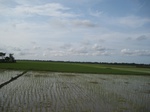 14390IMG_4732.JPG
