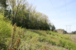 269IMG_4165.JPG