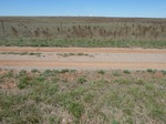 29248BUTL20110428W.JPG