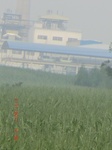 32867CIMG2000.JPG