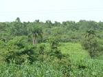 18755P1000593.JPG