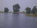 1473R0015186_small.jpg