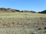 37768CIMG1575.JPG