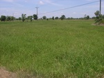 33558RIMG0223.JPG